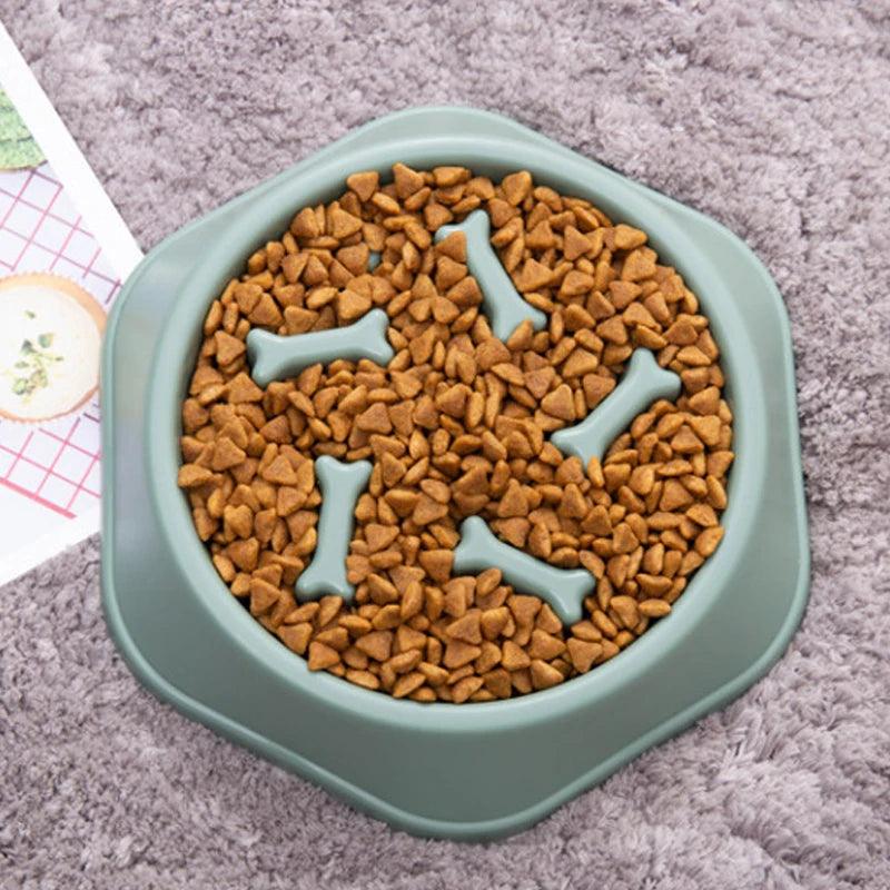 Slow Feed Dog Bowl