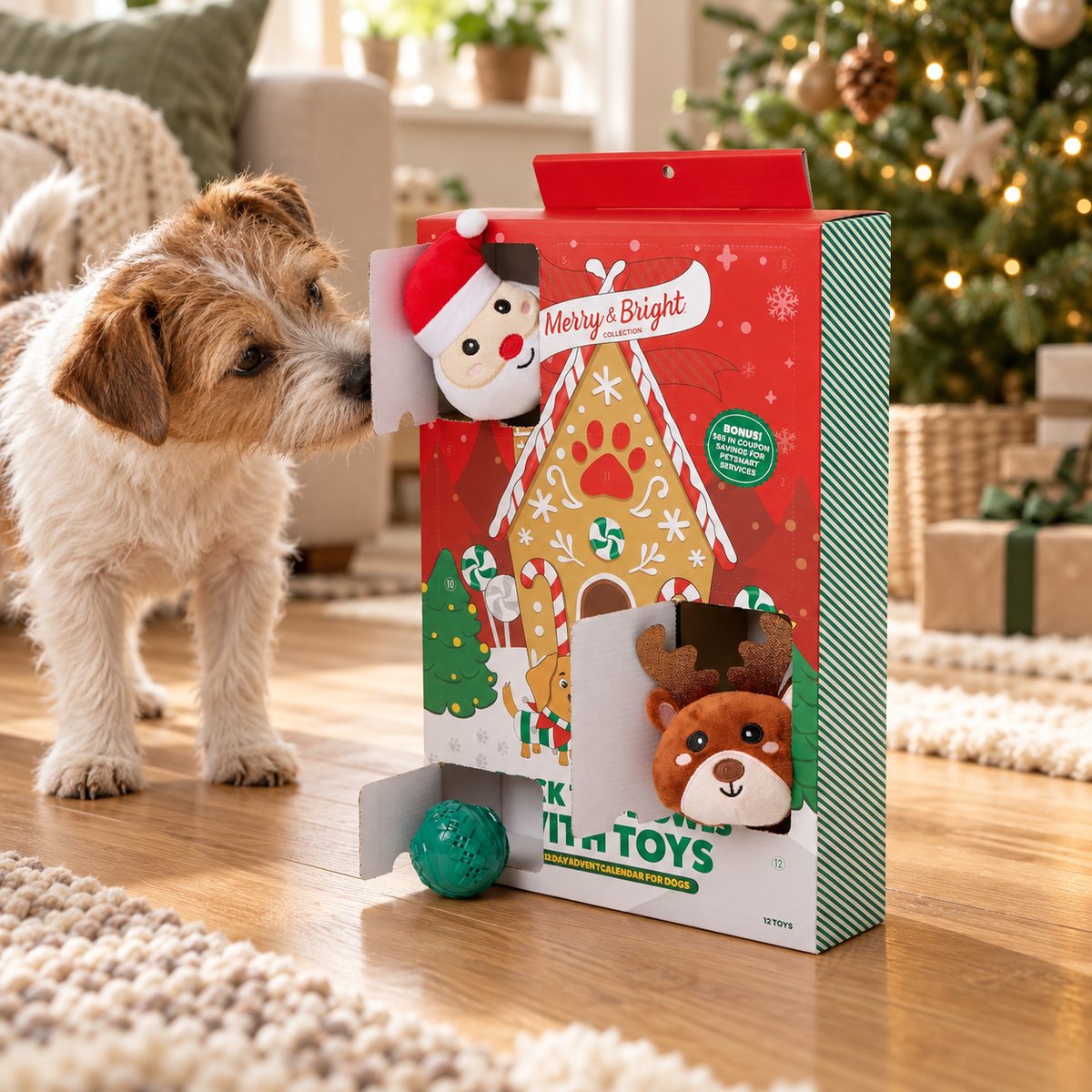 Dog Christmas advent calendar in a festive home